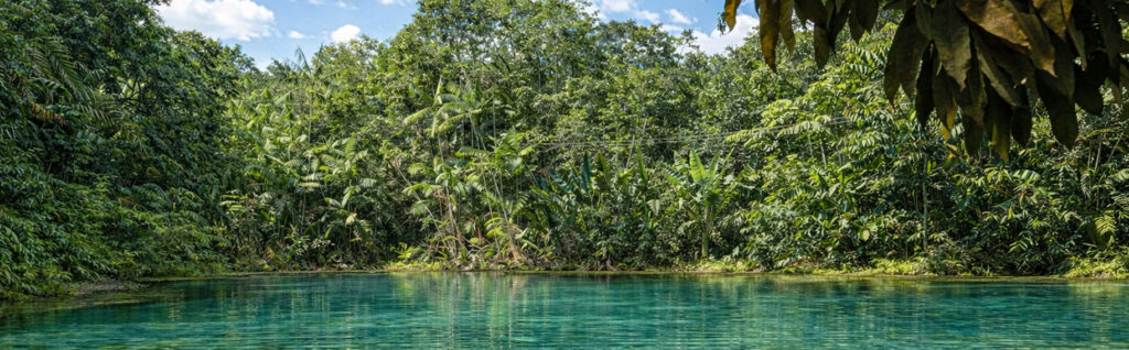Cavernas, cachoeiras, banhos refrescantes e uma natureza exuberante lhe aguardam. Venha!